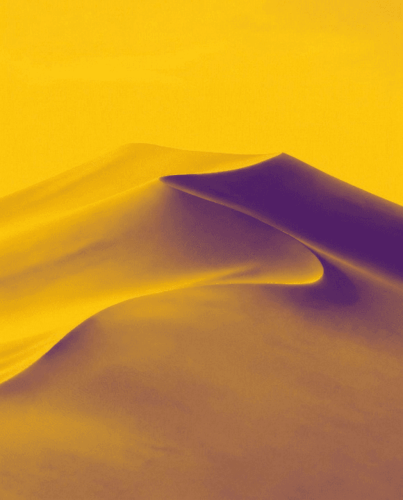 Decorative desert landscape